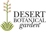 Desert Botanical Garden