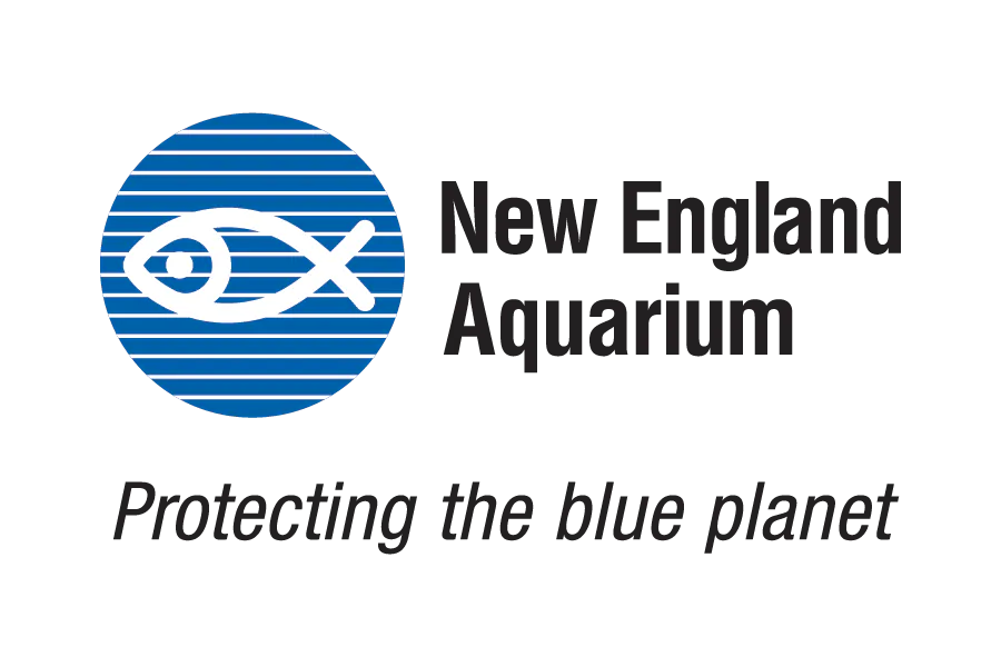 New England Aquarium