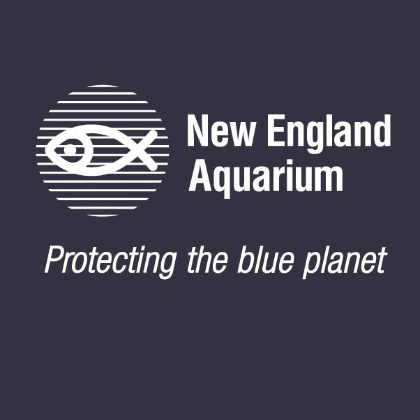 Ball Cap New England Aquarium