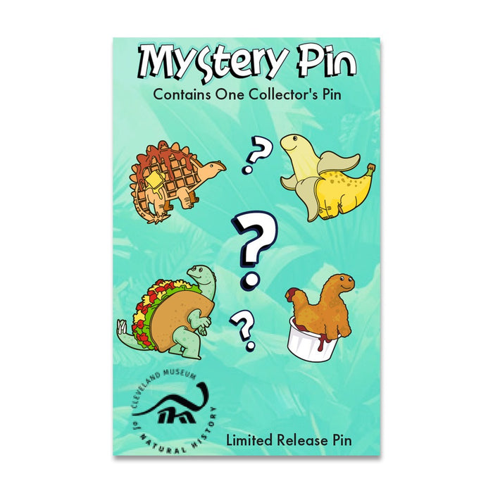 Saint Louis Science Center Dino Mystery Pin