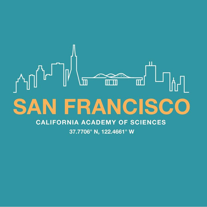 Youth Transitional Cotton California Academy Coordinates Tee