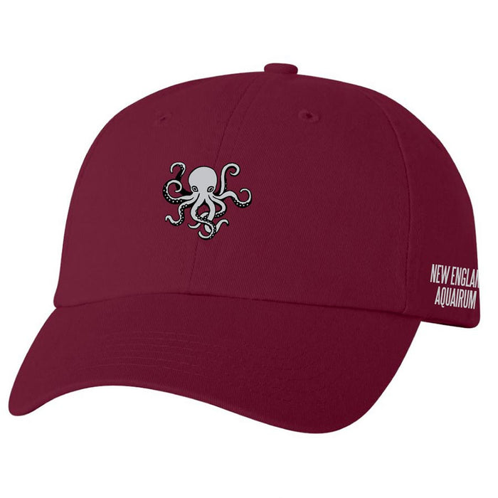 Ball Cap Octopus New England Aquarium