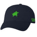 Ball Cap Hat Turtle New England Aquarium Logo
