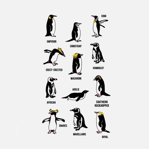 Youth Short Sleeve Tee Penguin Types