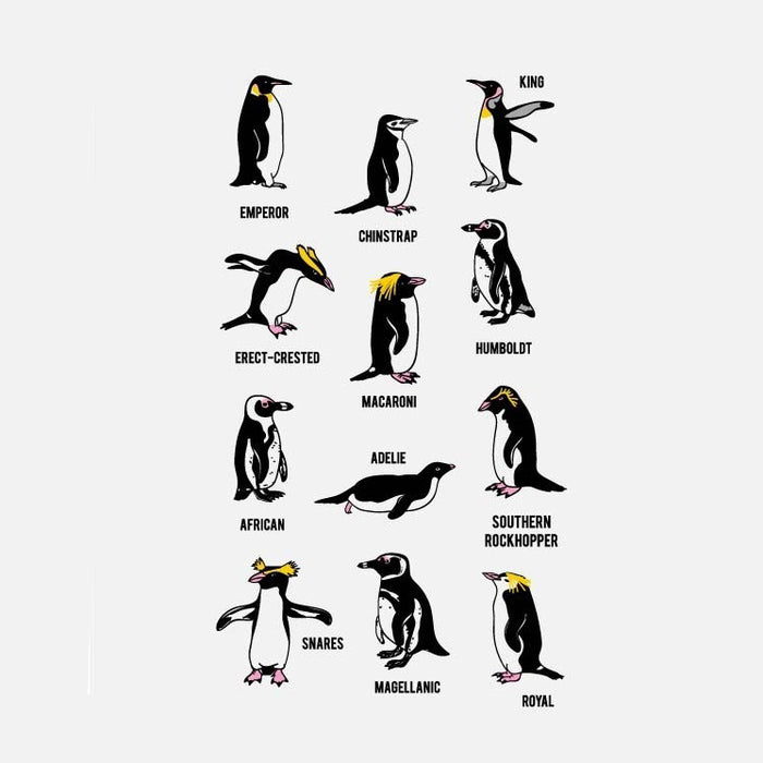 Youth Short Sleeve Tee Penguin Types