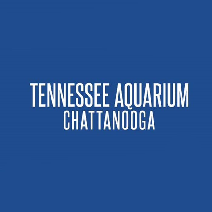 Royal Blue Embroidered Turtle Cap - Tennessee Aquarium