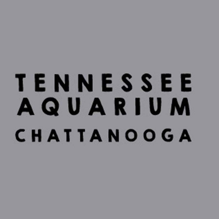Grey Embroidered Lemur Hat - Tennessee Aquarium