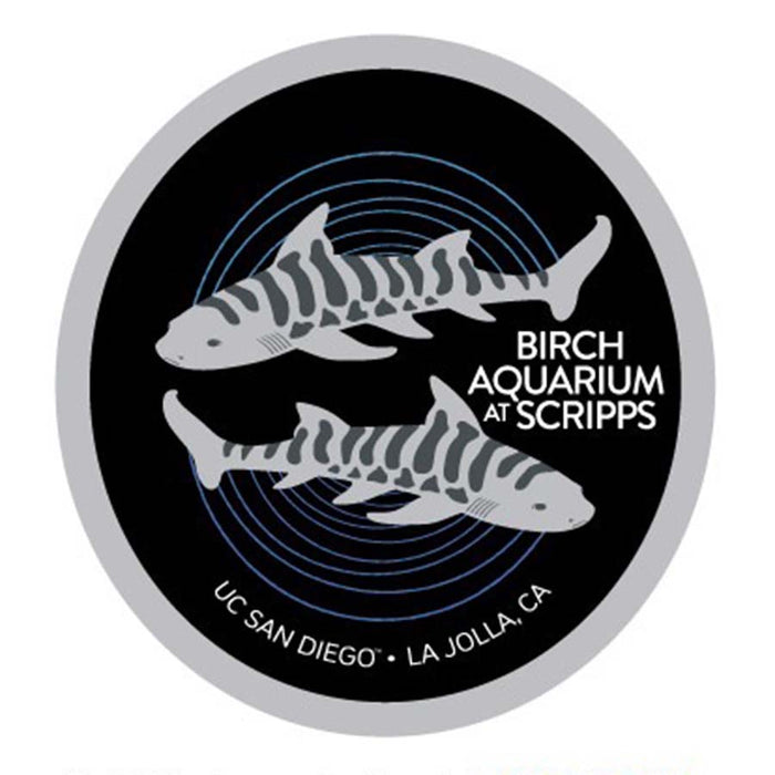Birch Aquarium Patch Hat