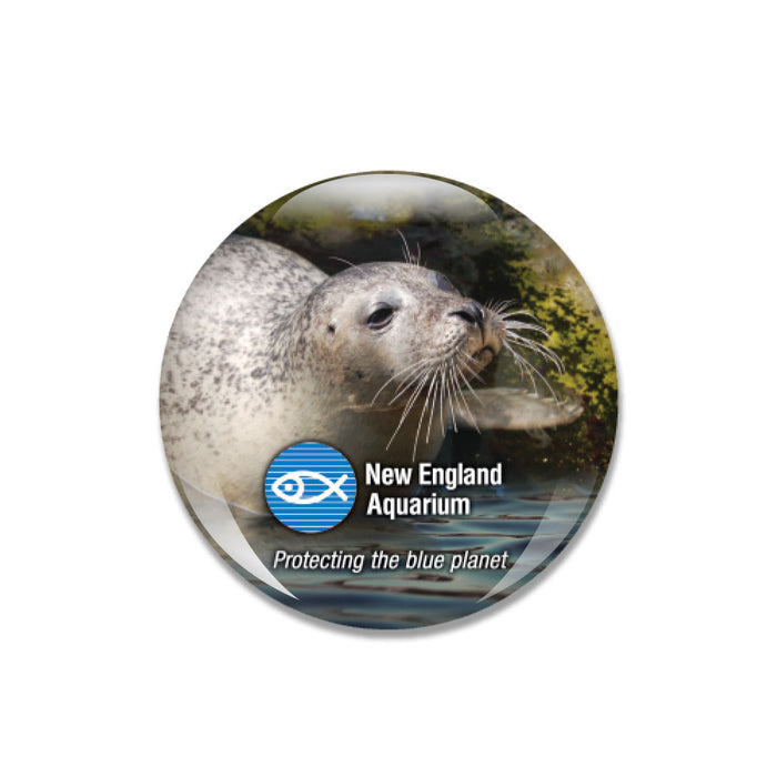 New England Aquarium Harbor Seal Glass Dome Magnet