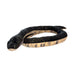 Introducing the Eco Black Snake Rat Plush—a sustainable plush snake toy crafted from recycled materials. This plush features a striking black and tan patterned body, lifelike round black eyes, and a subtly curved shape, beautifully displayed against a clean white background.