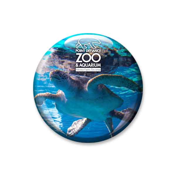 Point Defiance Zoo & Aquarium Turtle Glass Dome Magnet