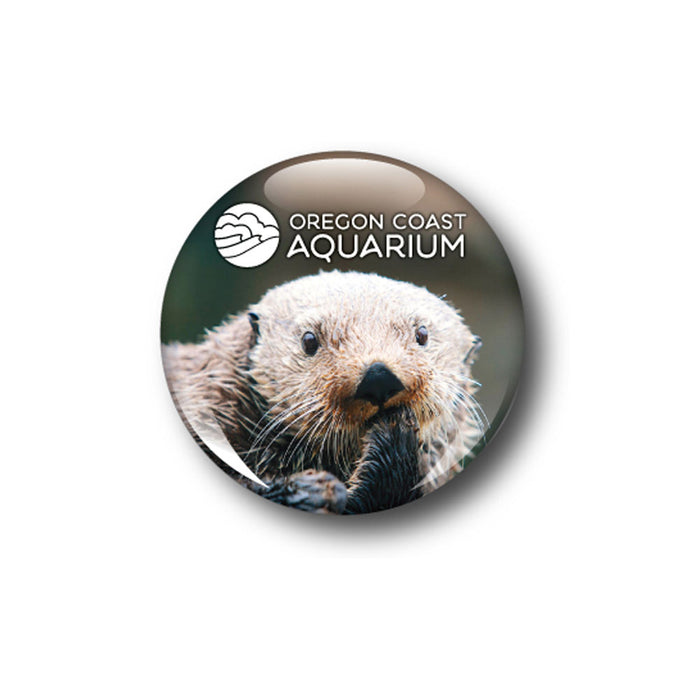 Oregon Coast Aquarium Sea Otter Glass Dome Magnet