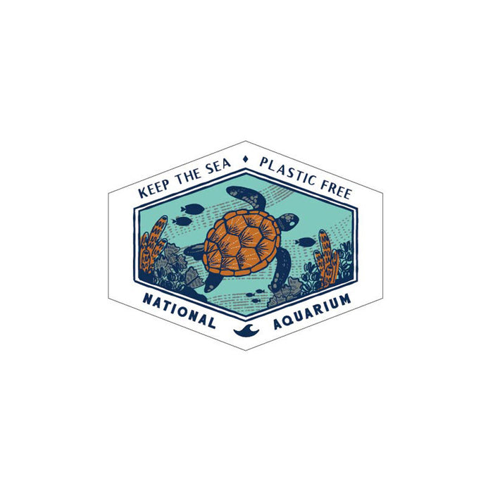 National Gallery Sea Turtle Magnet