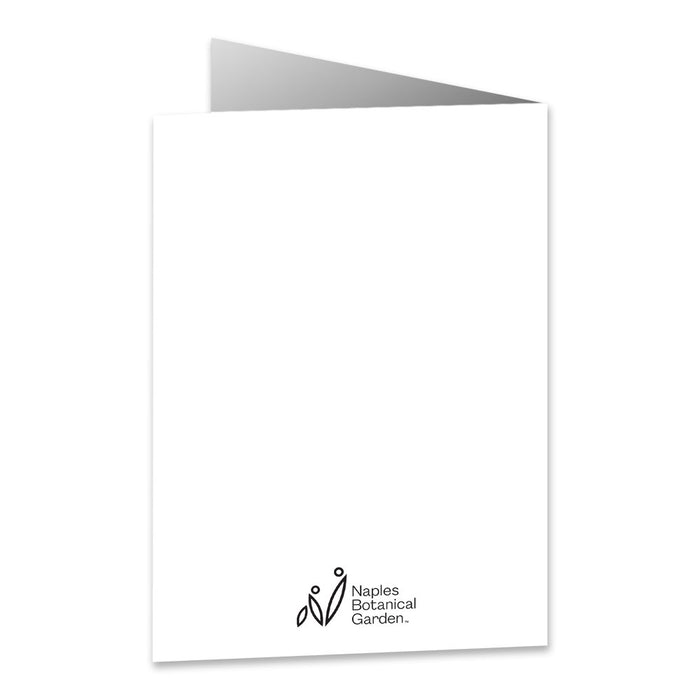 Naples Botanical Garden Orchid Notecard Set