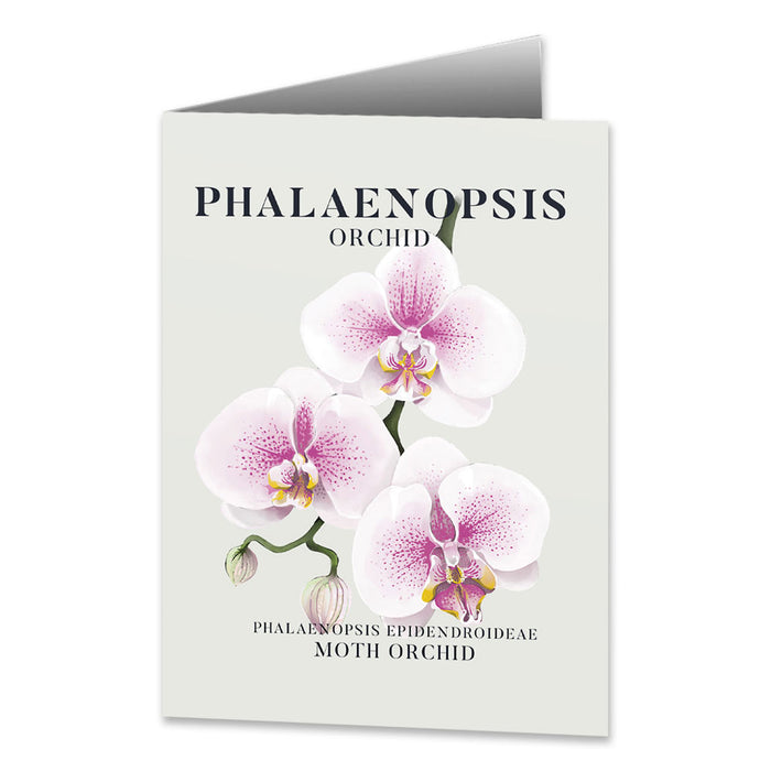 Naples Botanical Garden Orchid Notecard Set