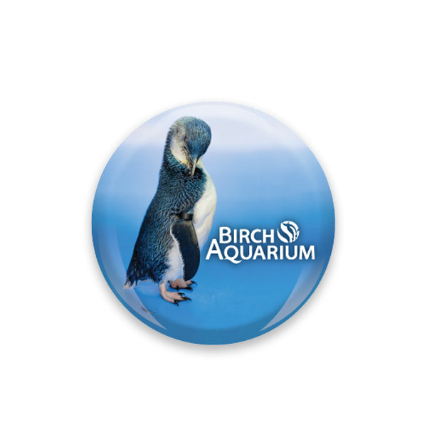 Birch Aquarium Penguin Glass Dome Magnet
