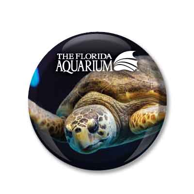 The Florida Aquarium Turtle Glass Dome Magnet