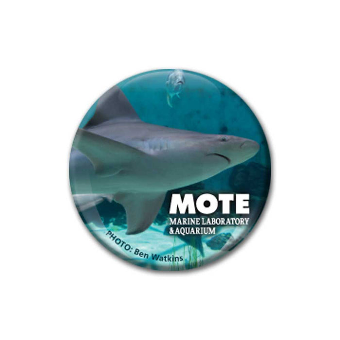 Mote Marine Laboratory Shark Glass Domed Magnet