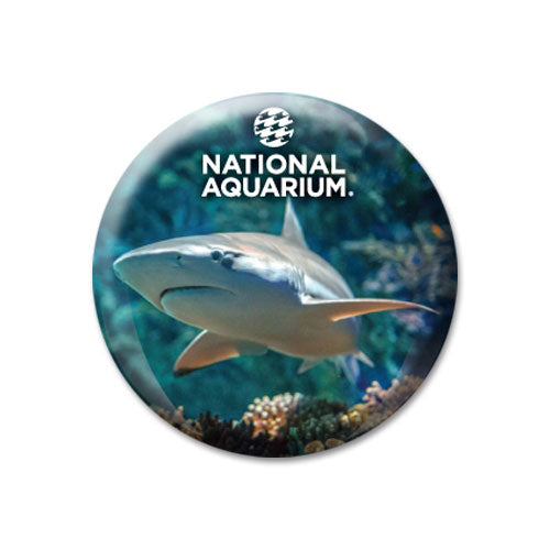 National Aquarium Shark Glass Domed Magnet