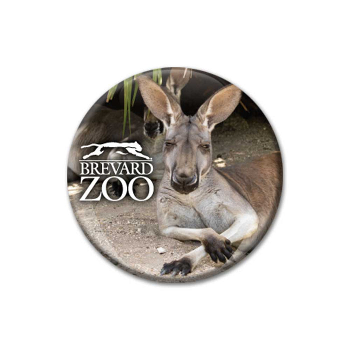 Brevard Zoo Kangaroo Glass Dome Magnet