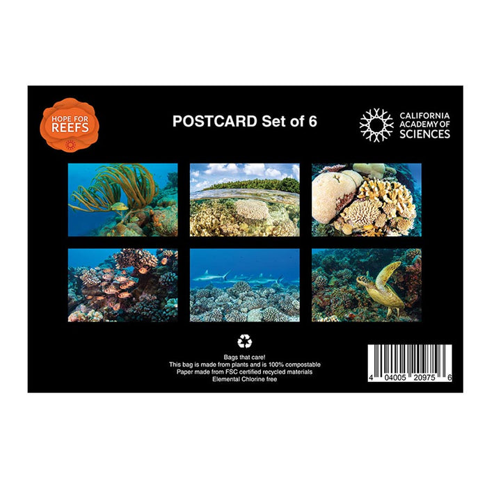 California Academy of Sciences Hope for Reefs Postcard Set