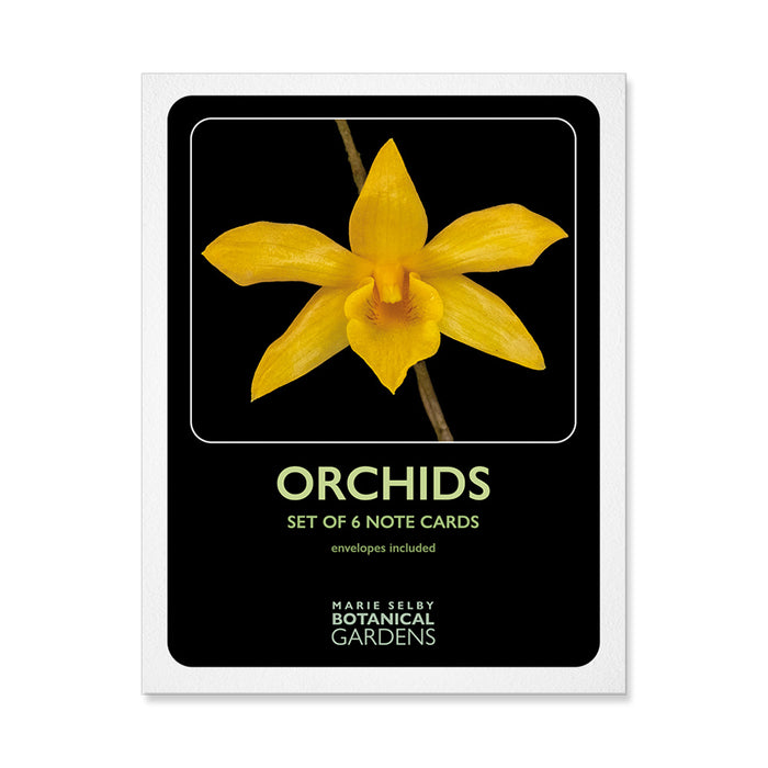 Marie Selby Botanical Gardens Orchid Note Card Set