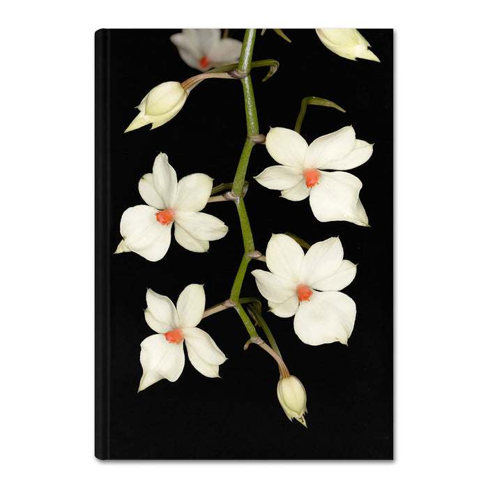 Marie Selby Botanical Gardens Orchid Journal