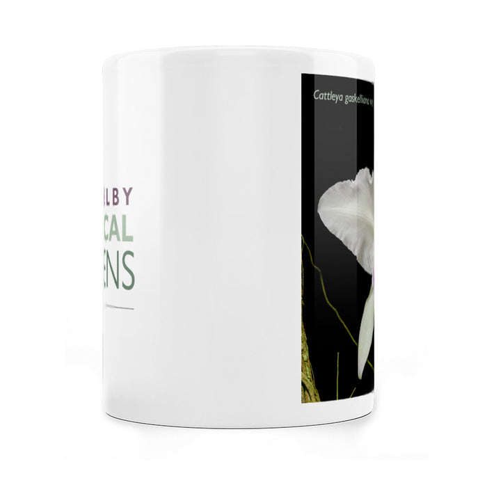 Marie Selby Botanical Gardens Cattleya Orchid Mug