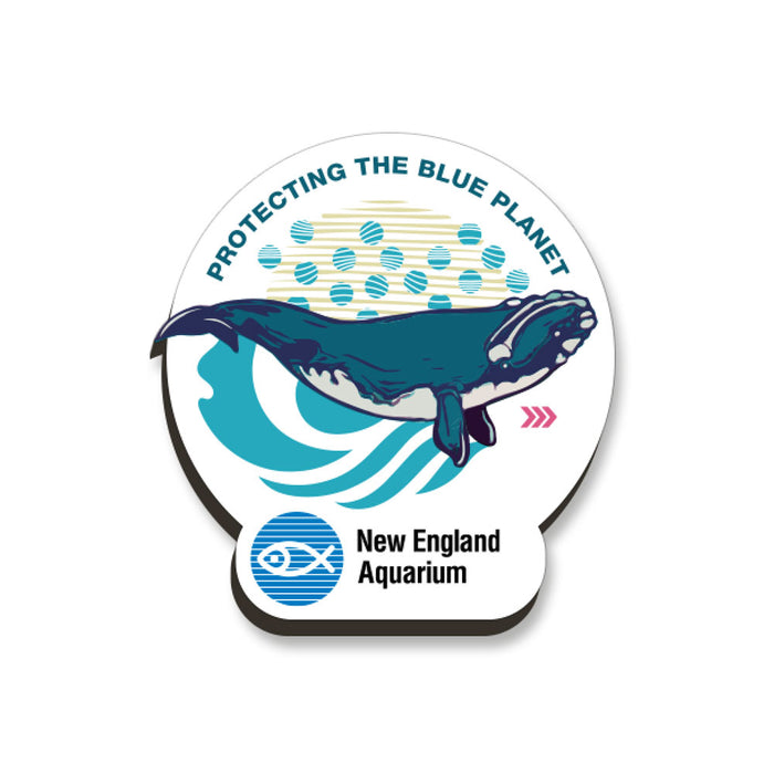 New England Aquarium Right Whale Magnet