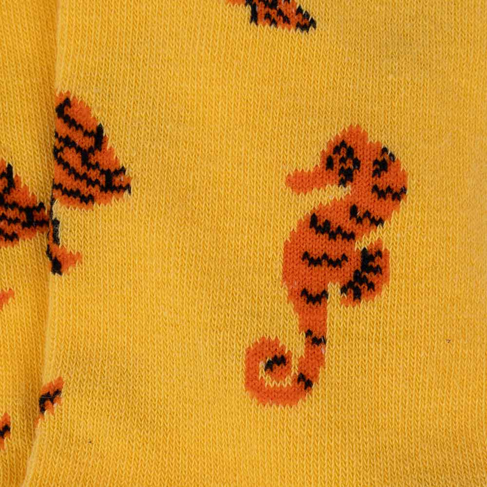 We Will Protect Socks Aquarium