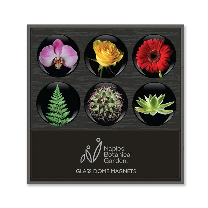 Naples Botanical Garden Floral Glass Dome Magnet Set