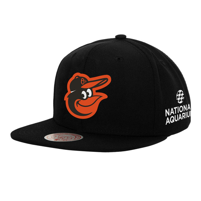 Mitchell And Ness x National Aquarium Orioles Cap