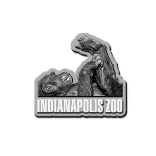 Indianapolis Zoo Chimp Magnet