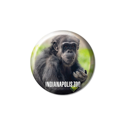 Indianapolis Zoo Glass Dome Magnet
