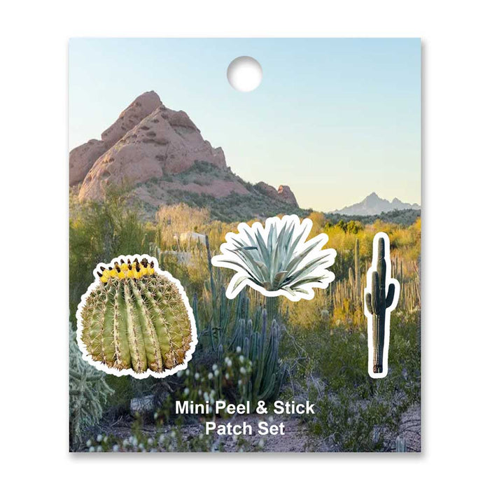 Desert Botanical Garden Mini Cactus Patch Set