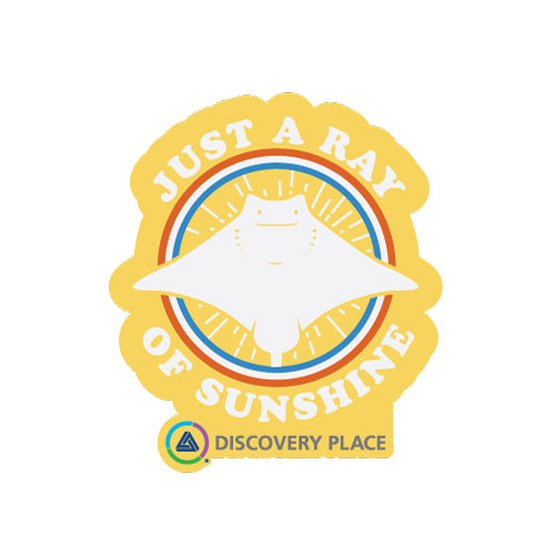 Discovery Place Ray of Sunshine Stingray Foil Magnet