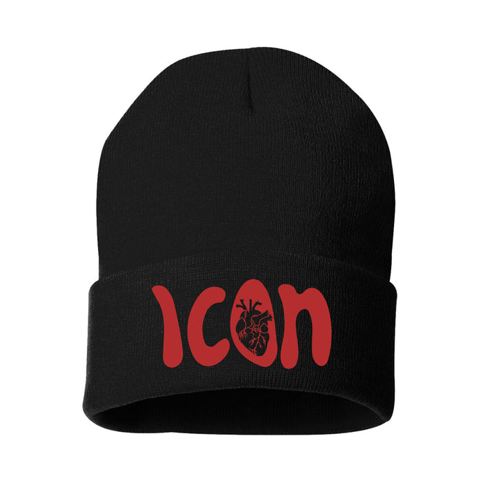 The Franklin Institute Icon Beanie
