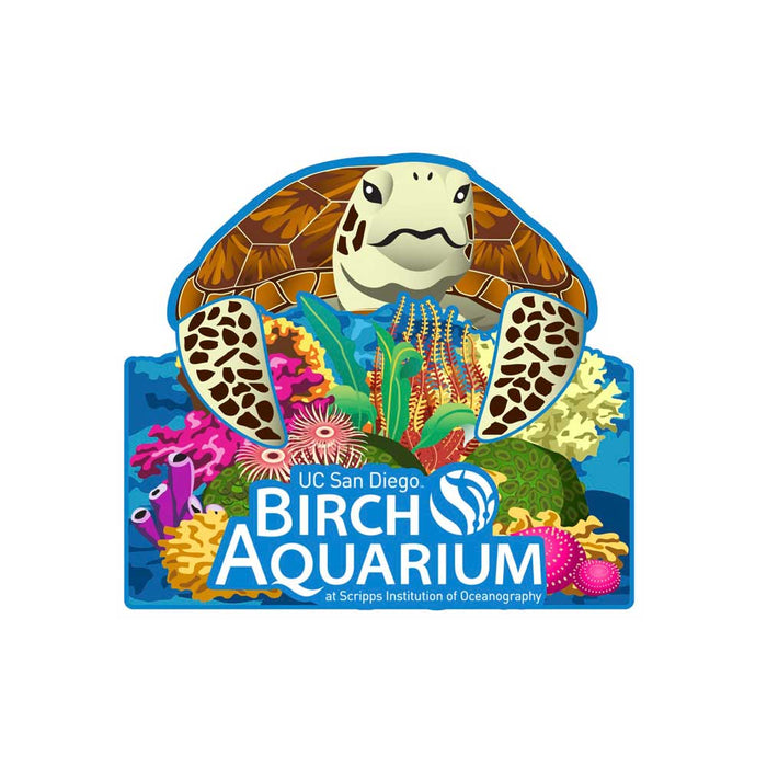 Birch Aquarium Sea Turtle Pop-Up Magnet