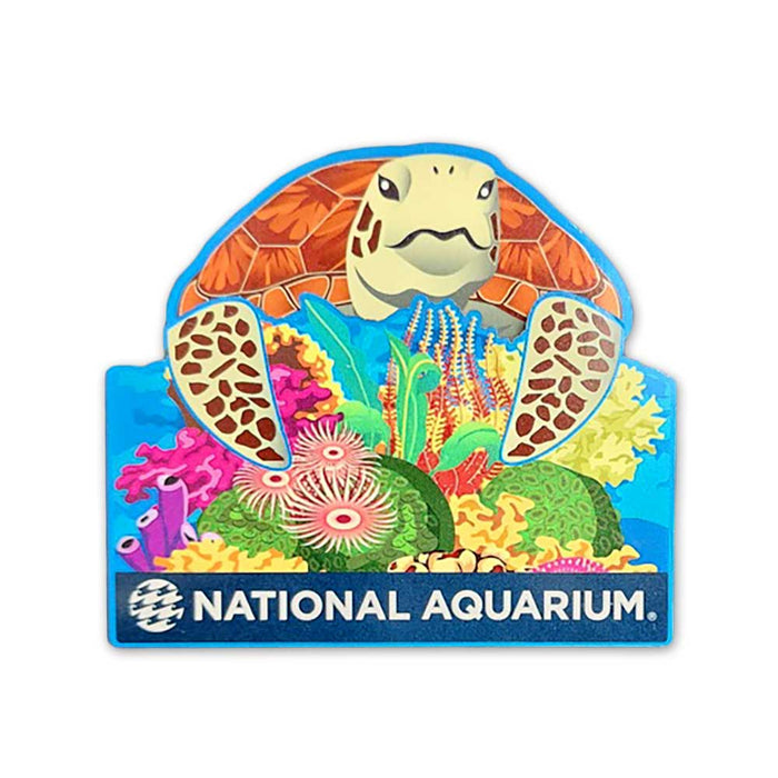 National Aquarium Sea Turtle Pop Up Magnet