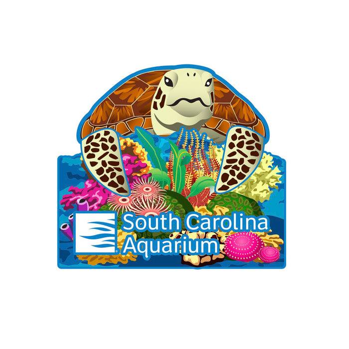 South Carolina Aquarium Sea Turtle Popup Magnet