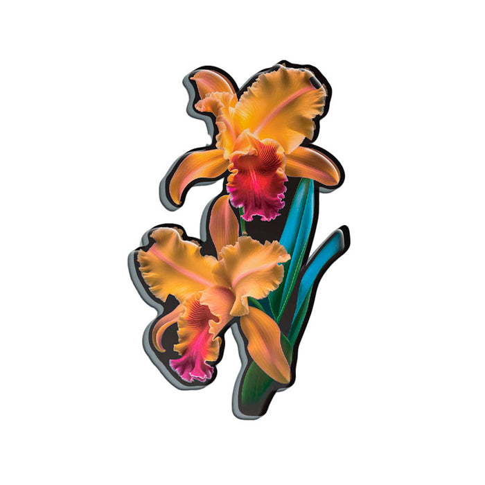 Chicago Botanic Garden Orchid Magnet