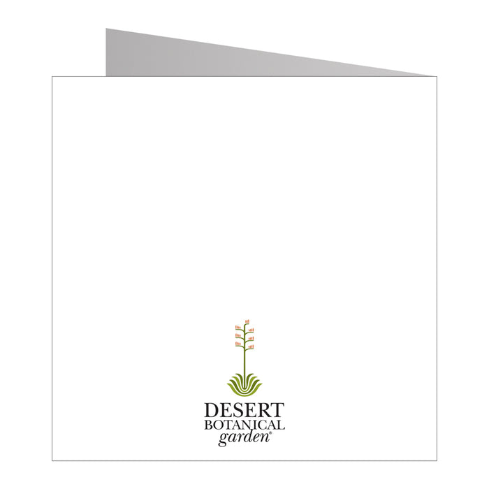Desert Botanical Garden Orchid Notecard Set