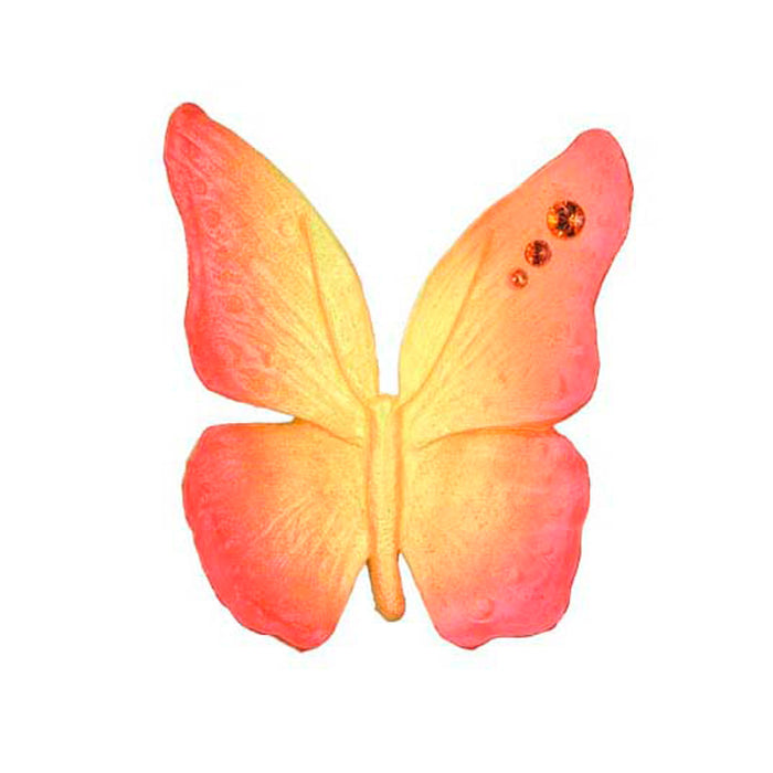 Desert Botanical Garden Butterfly Magnet