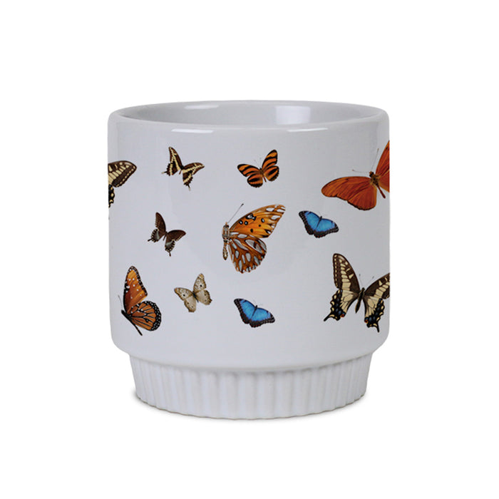 Desert Botanical Garden Butterfly Mug