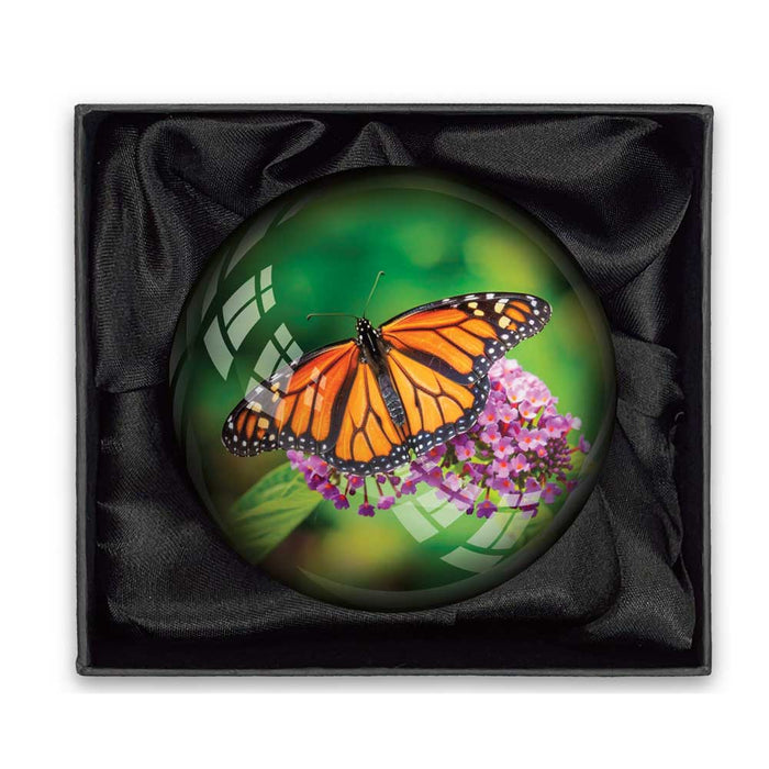 Desert Botanical Garden Butterfly Paperweight