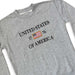 The United States Icon Crew Sweatshirt is a gray patriotic crewneck with “UNITED STATES 1776 OF AMERICA” and an American flag patch between 17 and 76—ideal for American history fans.