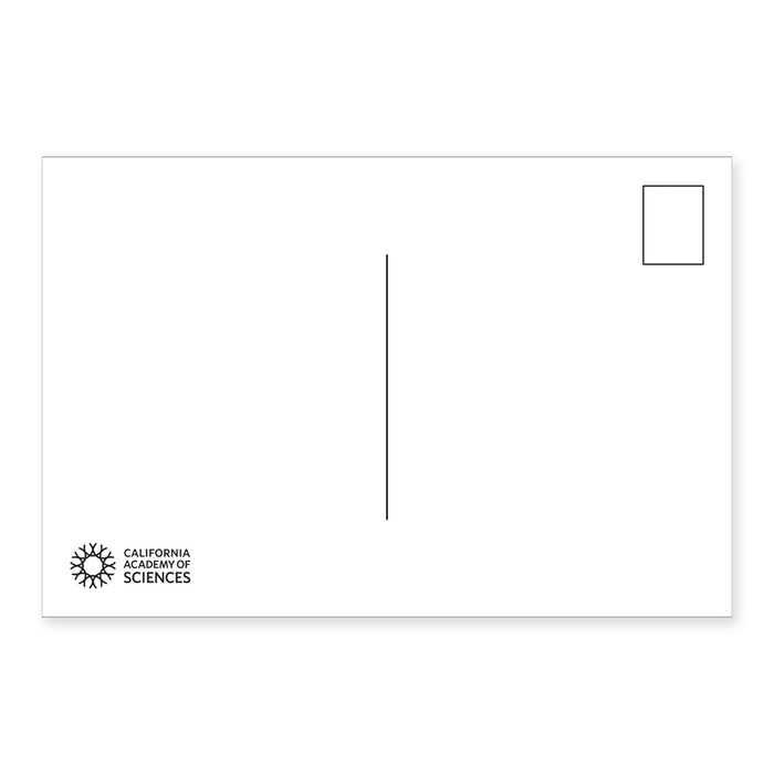 Claude's 30th Birthday Postcard Set
