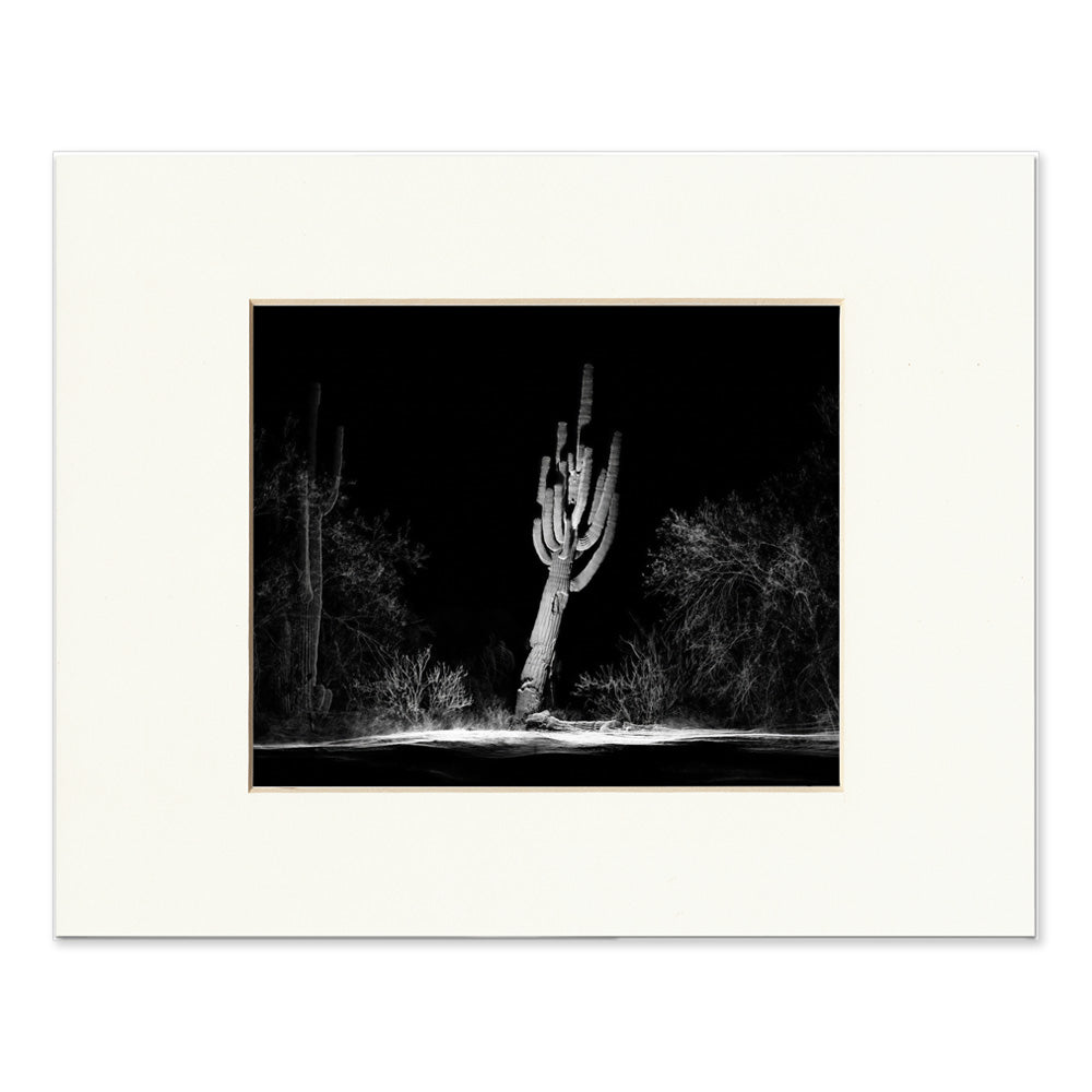 Desert Botanical Garden One Giant Saguaro Matted Print — Muze Merch