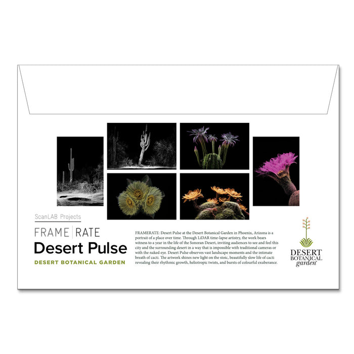 Desert Botanical Garden Desert Pulse Postcard Set