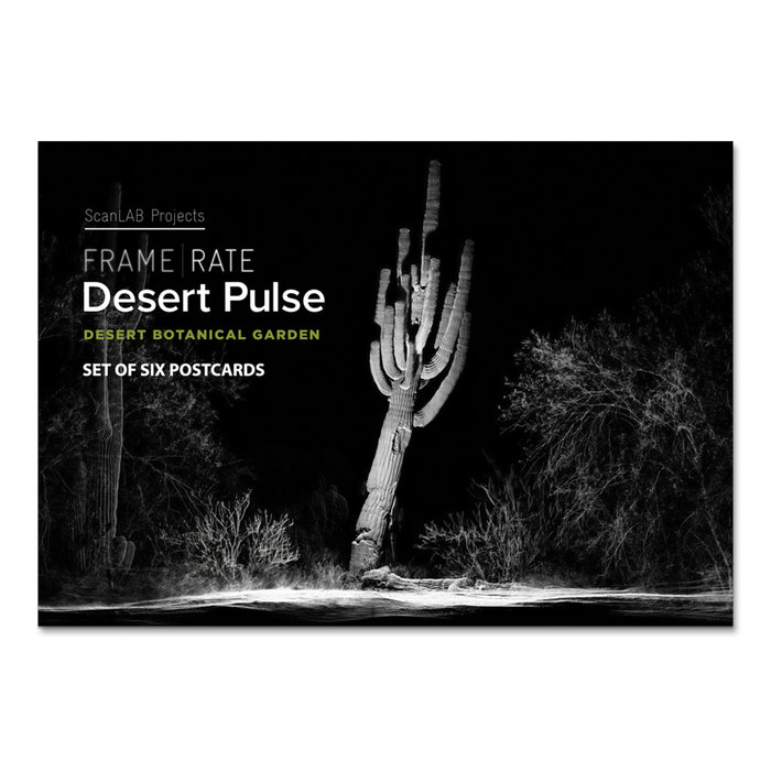 Desert Botanical Garden Desert Pulse Postcard Set